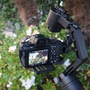 Filmmaking is a walk in the park with Zhiyun Crane camera stabilizer!