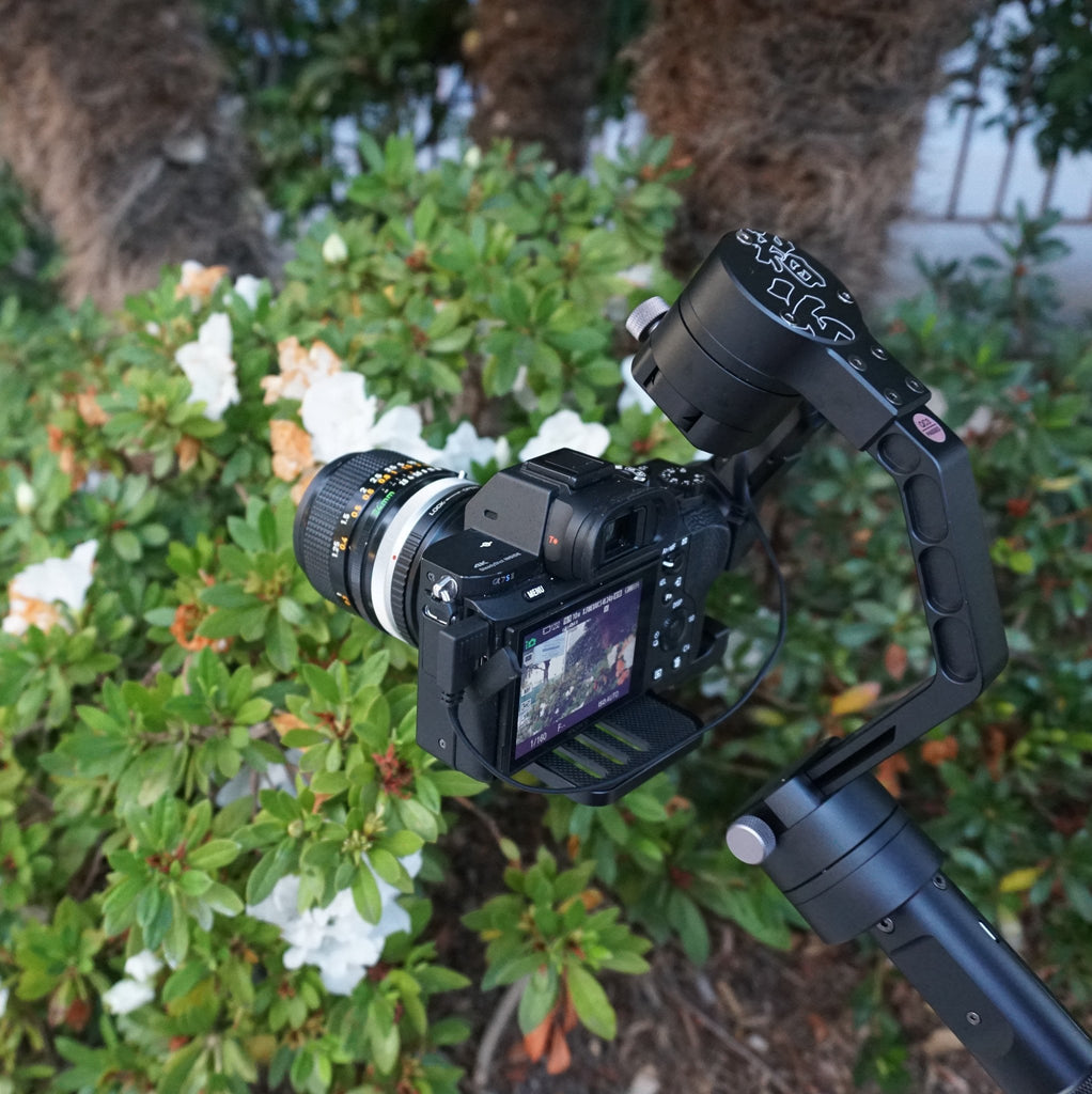 Zhiyun Crane in the garden! Get the most out of a camera stabilizer with CCI!