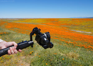Begin Filming On The Sunny Side with MOZA Air 2 Camera Stabilizer!