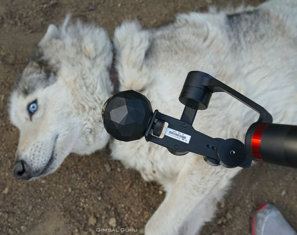 Guru 360° gimbal stabilizer, Buster the Dog, 360Fly Camera, and Guru 360° Setup Video!