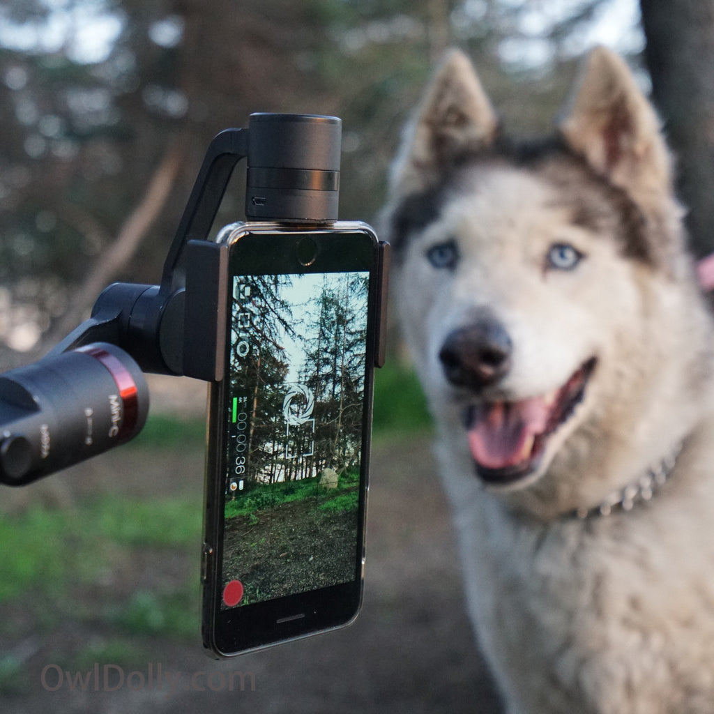 Film your own adventures with MOZA Mini-C smartphone stabilizer, iPhone 7 Plus, and Buster the half wolf!