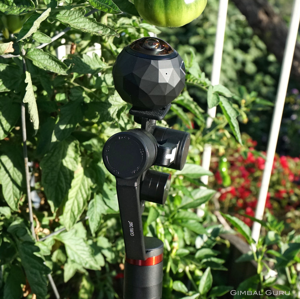 Exploring secret gardens in 360 degrees with Guru 360° Gimbal Stabilizer and 360Fly camera!