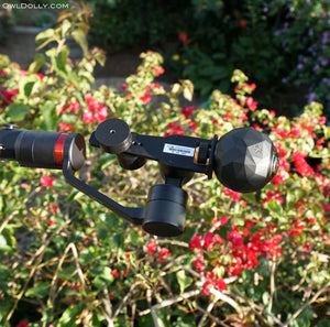Everything is coming up roses with Guru 360 Gimbal Stabilizer and 360Fly camera!