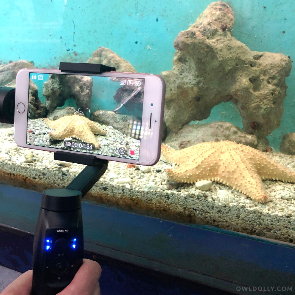 Take a Mini Tour of Isla Mujeres with MOZA Aircross, Mini Mi Smartphone Gimbal, and FiFish Underwater Rover!