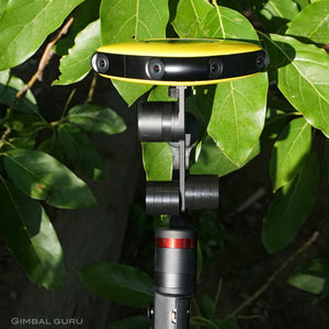 Filming jungle vibes in 360 degrees with Guru 360° Gimbal Stabilizer and Vuze Camera!